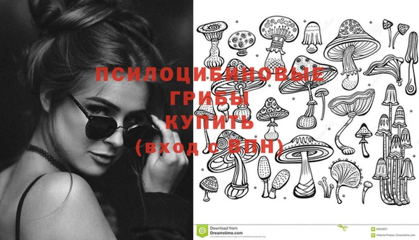 ГАЛЛЮЦИНОГЕННЫЕ ГРИБЫ Нефтегорск